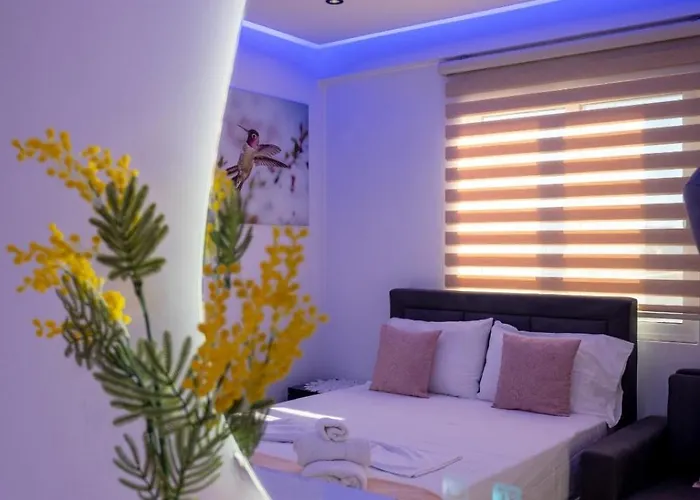 Veli Brothers Apartment