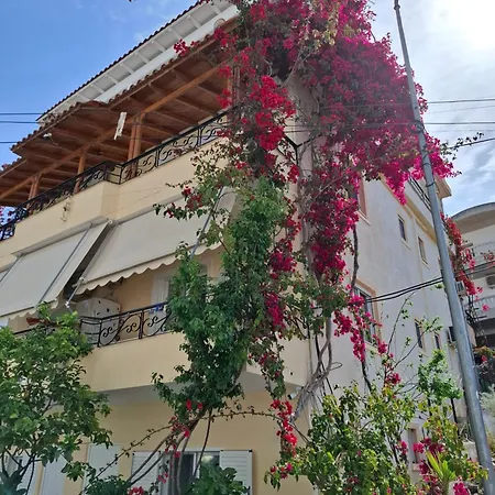 Veli Brothers * Saranda